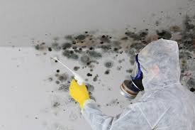 Best Mold Remediation for Vacation Homes  in Ledgewood, NJ